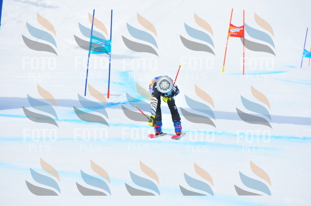 DSC_2500 | holidayphoto