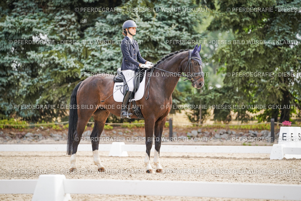 DSC01448 | Pferdegrafie