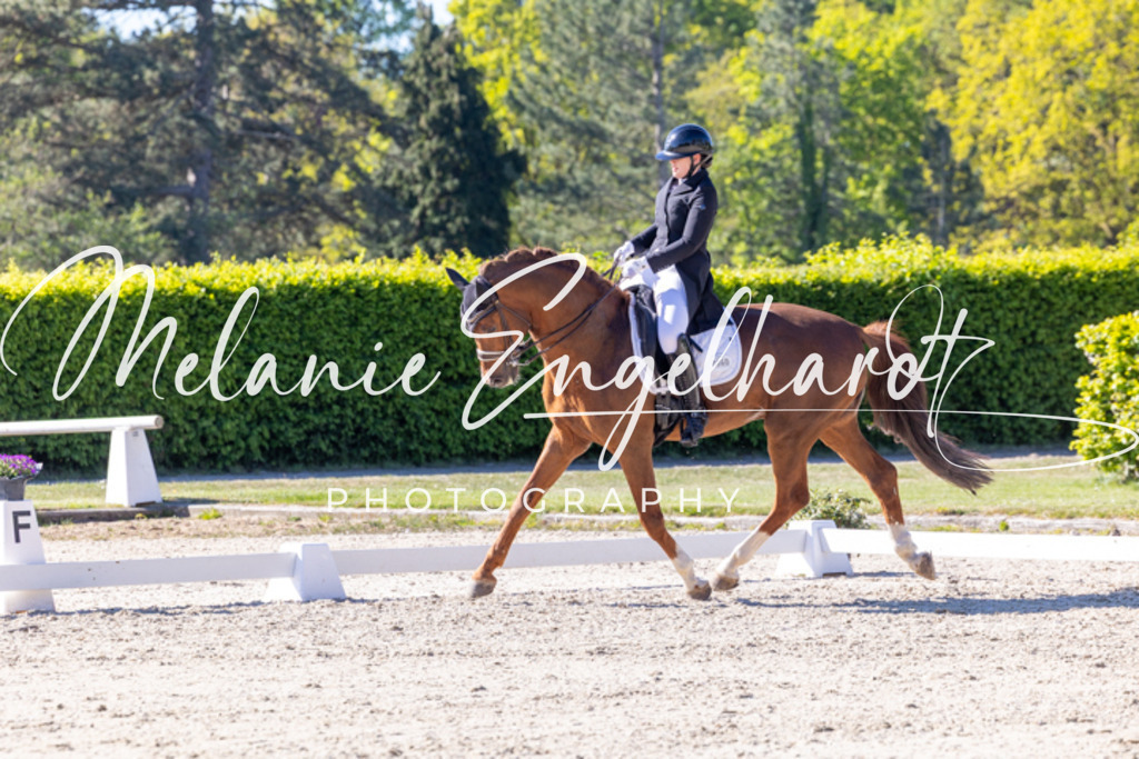 7I8A2273 | melanie-engelhardt-photography - Realisiert mit Pictrs.com