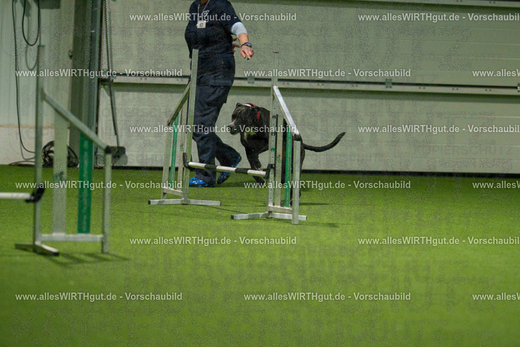 7R507394 | Professionelle Tierfotografie in Mönchengladbach von Daniel Wirth (allesWIRTHgut). Liebevolle & natürliche Bilder von Hunden & Katzen für unvergessliche Erinnerungen.