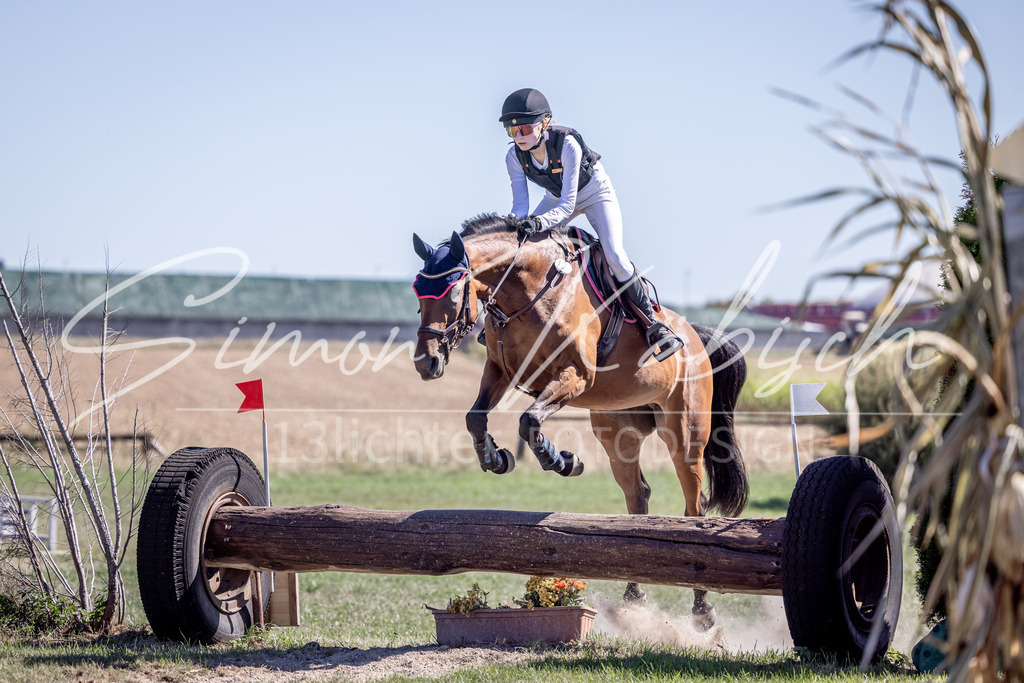 20260906-_3LI3215 | Tierfotografie Pferde, Hunde, Katzen, Haustiere.
Turnierfotografie Reitturniere, Reiten, Springreiten, Dressur in Hanau, dem Main-Kinzig-Kreis und dem Rhein-Main- Gebiet um Frankfurt