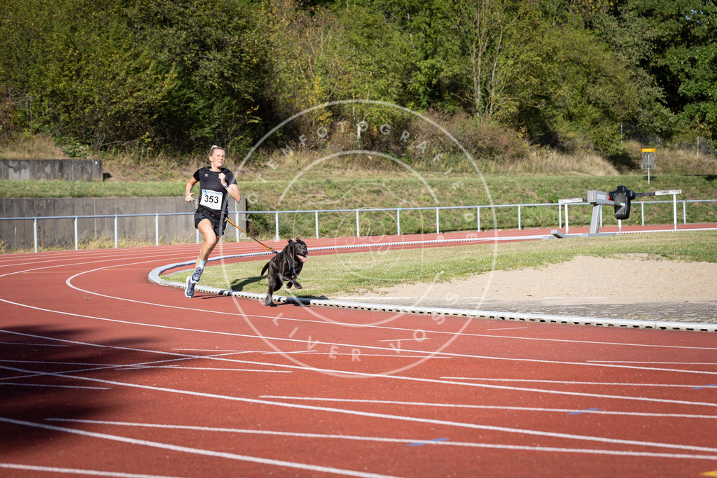 Pfotenfotografie_DV3A9531 | Hundefotografie, Tierfotograf, Pfotenfotografie, Fotoshooting Hund, Hunde Portrait, Hundesport, Hundeportraits, Heideshooting, Hunde, Sportfotograf, Hundefotograf, Turnierhundsport, THS,  - Realisiert mit Pictrs.com