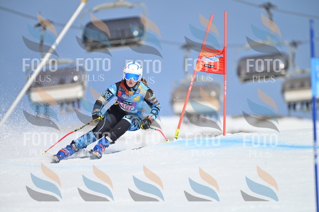 BGV_9576 | holidayphoto