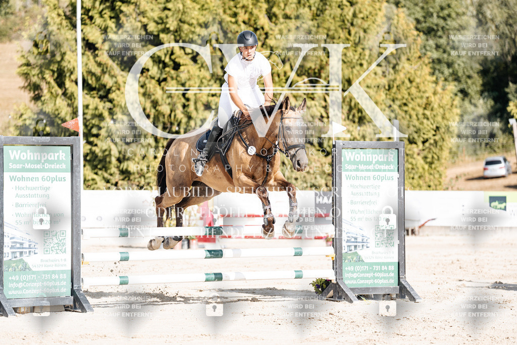 CK909163 | Turnierfotografie Pferdefotografie Trier Rheinland-Pfalz Pferdesport Reitsport Tierfotografie Sportfotografie Pferdevideo Pferdevideografie Equestrianvideography equestrianphotography  - Realisiert mit Pictrs.com