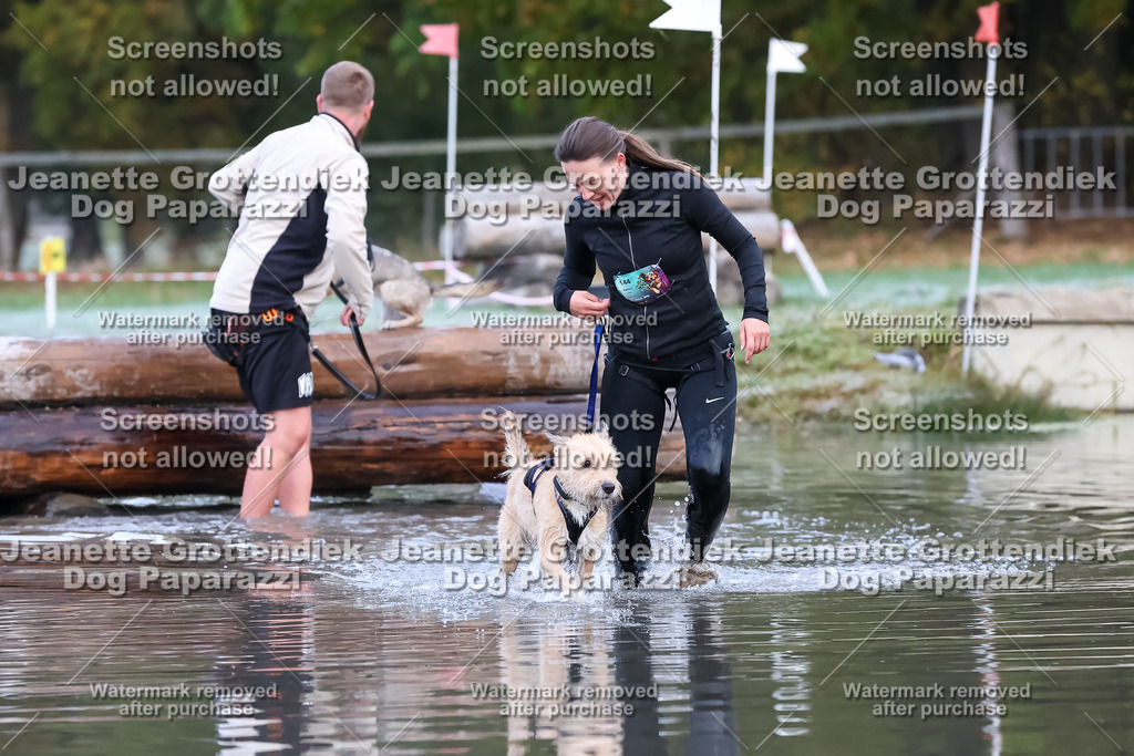 Dog Paparazzi - Strongdog 10-25-6179 | Dog Paparazzi Jeanette Grottendiek Fotografie & Videografie - Realisiert mit Pictrs.com