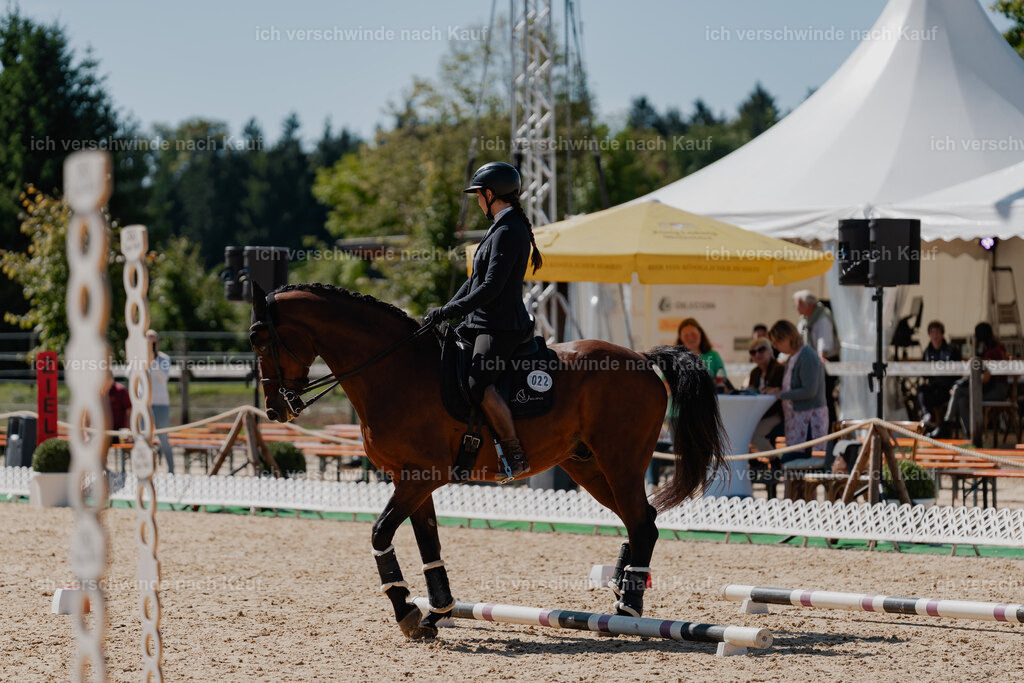 Nadine22_FHC2025-76 | working equitationturnier fotograf videograf stoibphotography marixx film working equitation deutschland reitsport turnierfotografie eventfotografie equestrian events