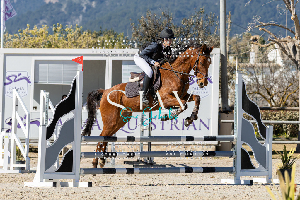 IMG_9529 | s-jay-photography - Realisiert mit Pictrs.com