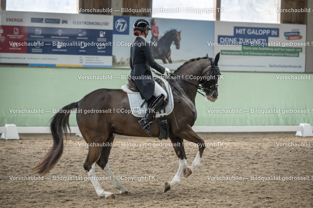 _D5A5012 | Emotionale Pferde- & People-Fotografie rund um Heidelberg, Leimen & Umgebung. Natürliche Fotos von Pferd, Mensch & Familie. Jetzt Termin sichern!