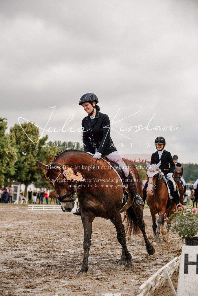 DSC_9390 | Pferde- und Turnierfotografie in Westsachsen. Pferdeportraits, Auftragszeichnungen und intuitive Kunst.