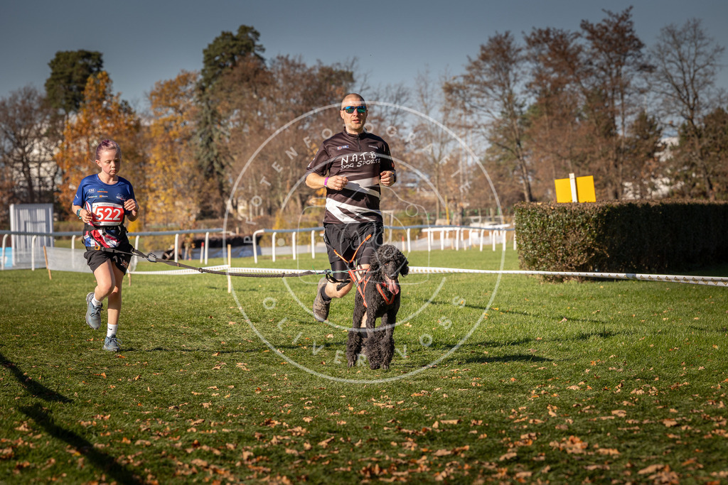 CaniXpix_0L8A7170 | Hundefotografie, Tierfotograf, Pfotenfotografie, Fotoshooting Hund, Hunde Portrait, Hundesport, Hundeportraits, Heideshooting, Hunde, Sportfotograf, Hundefotograf, Turnierhundsport, THS,  - Realisiert mit Pictrs.com