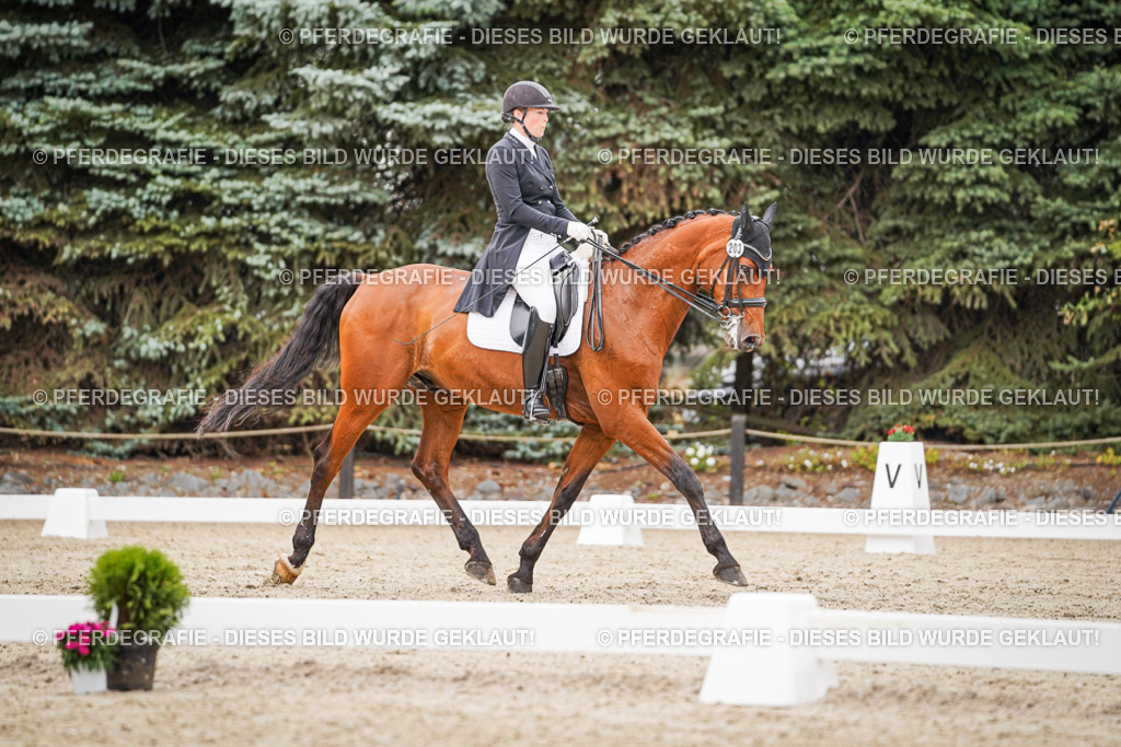 DSC07473 | Pferdegrafie