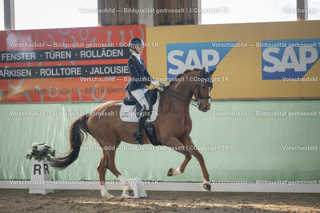 _D5A4448 | Emotionale Pferde- & People-Fotografie rund um Heidelberg, Leimen & Umgebung. Natürliche Fotos von Pferd, Mensch & Familie. Jetzt Termin sichern!