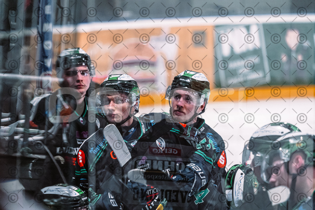 Alligators_vs_Memmingen_05_12_2025-149 | Höchstadt Alligators Fotogalerie: Eishockey-Action aus Franken. Professionelle Spielfotos, Portraits & Stadionbilder zum Download. Jetzt entdecken! - Realisiert mit Pictrs.com