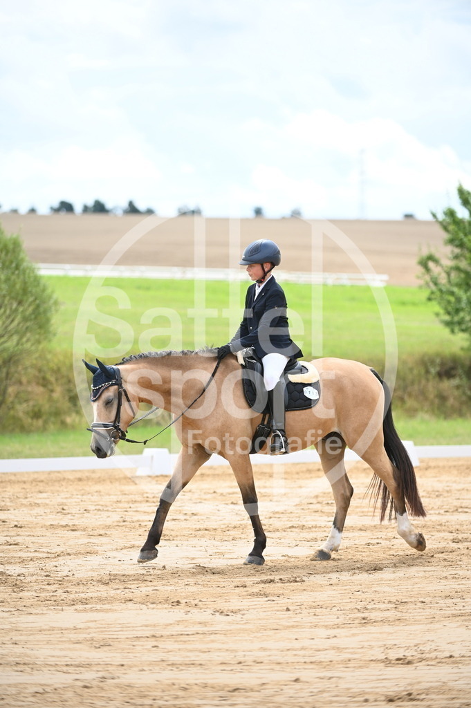 DSC_6313 | sattelsport - Realisiert mit Pictrs.com