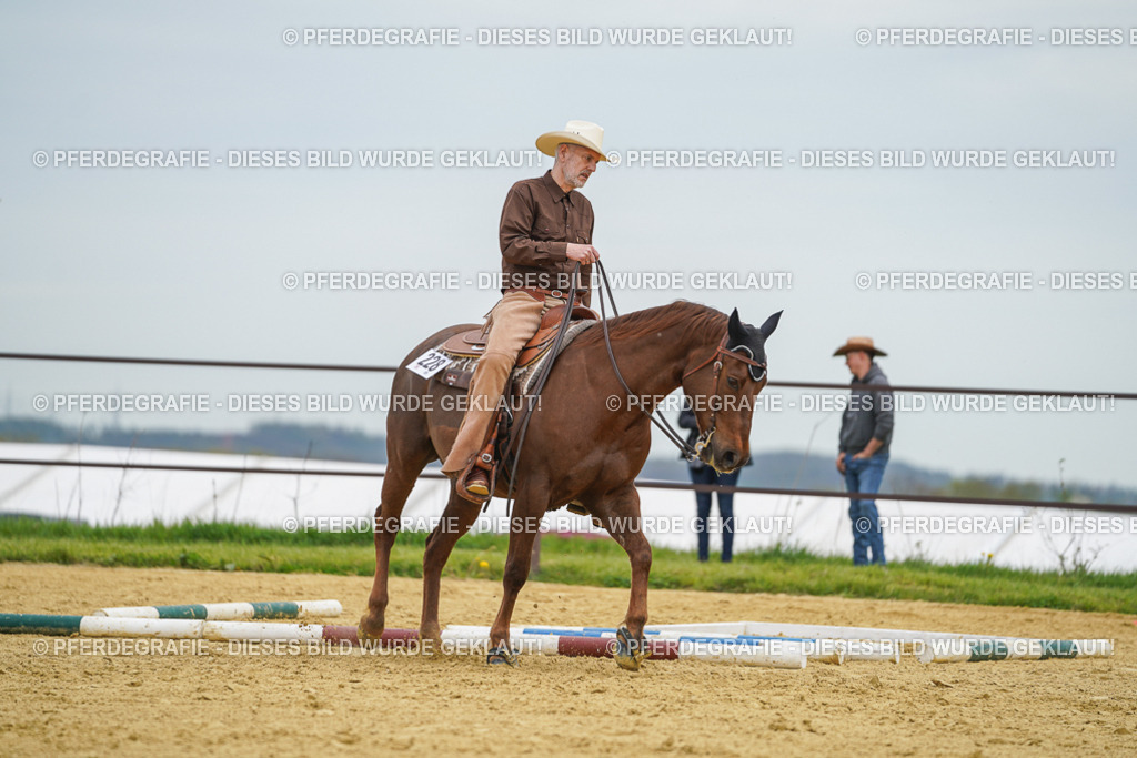 DSC02915 | Pferdegrafie