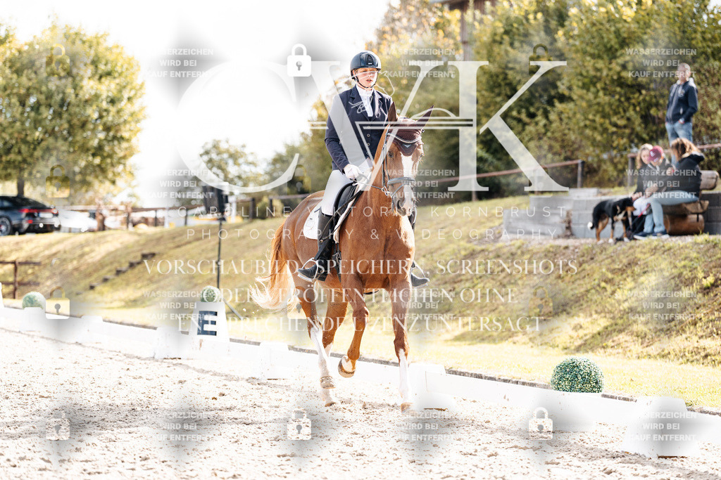 CK901872 | Turnierfotografie Pferdefotografie Trier Rheinland-Pfalz Pferdesport Reitsport Tierfotografie Sportfotografie Pferdevideo Pferdevideografie Equestrianvideography equestrianphotography  - Realisiert mit Pictrs.com