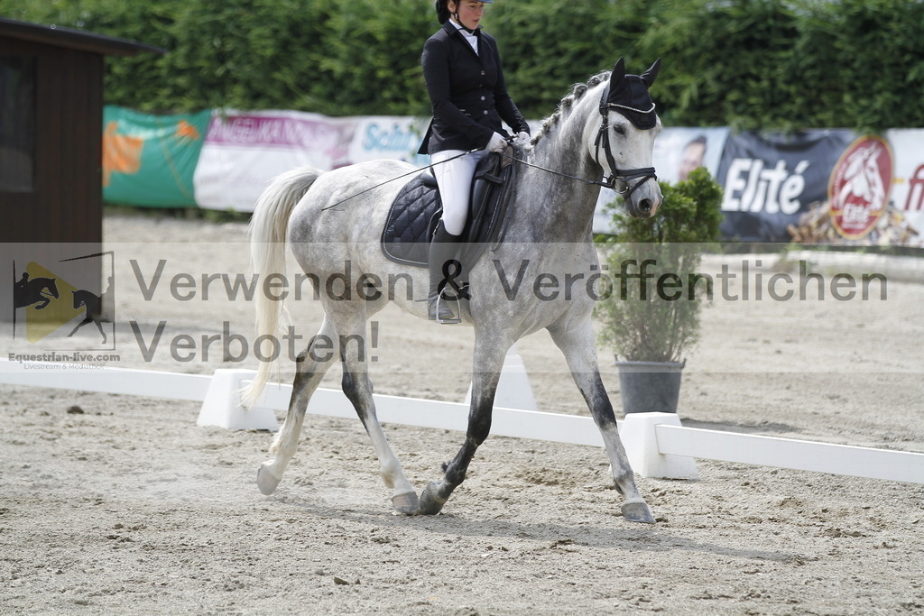 _MG_1940 | equestrian-live-com