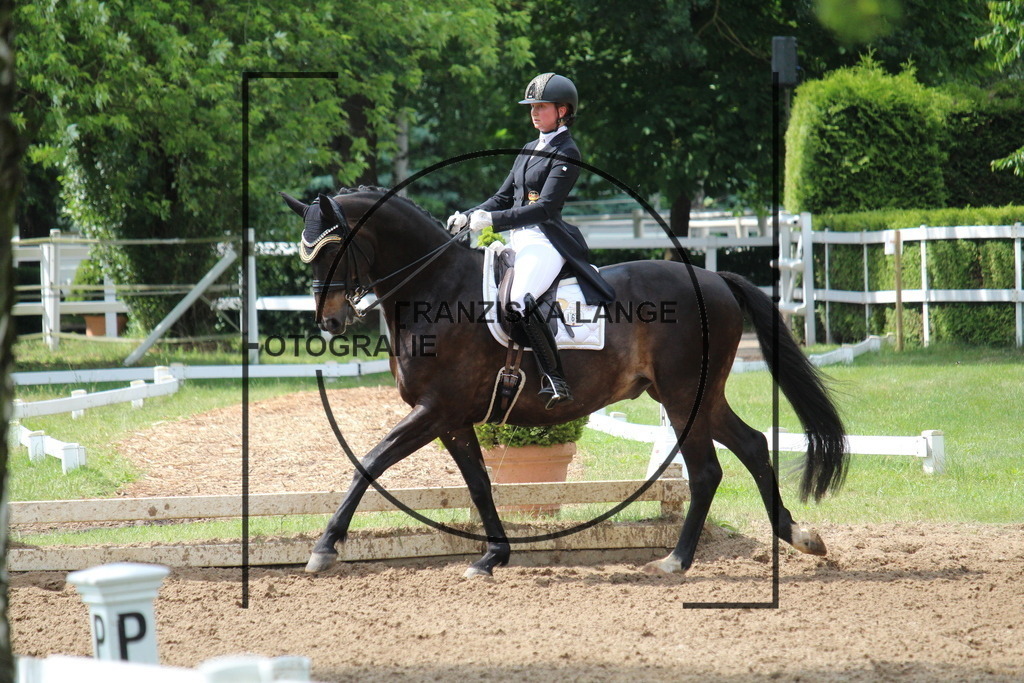 IMG_8822 | franziskalange - Realisiert mit Pictrs.com