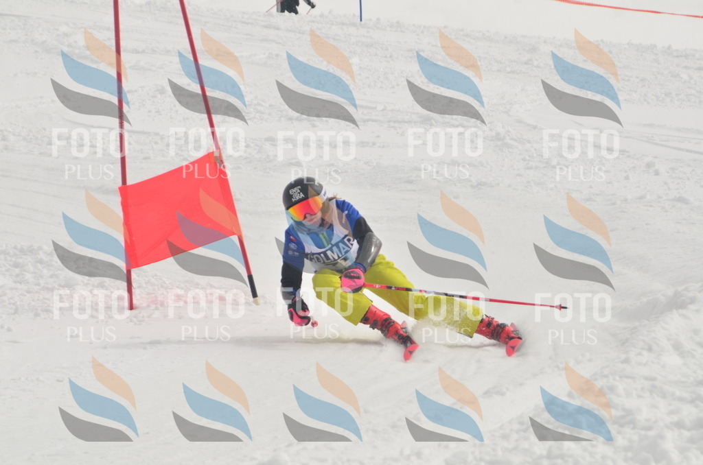 A5585 | holidayphoto