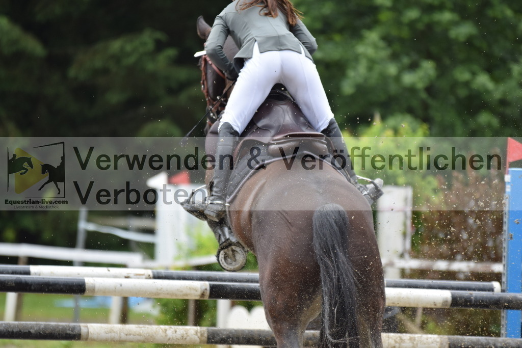 DSC_0030 | equestrian-live-com