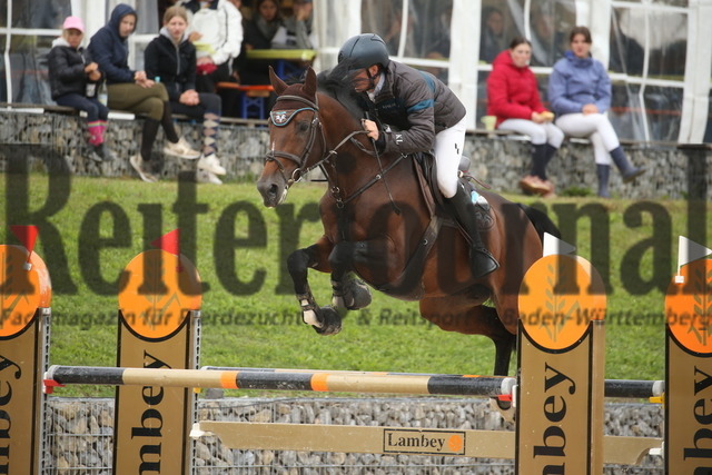 Villingendorf_2022_Prfg.Nr.08_zwei Phasen_Springprfg.Kl.M_Youngster_Nikolaus Leckebusch-Peters_Krown Royal HP (8) | Alle Fotos der Reiterjournal Fotografin Doris Matthaes im Reiterjournal Online-Fotoshop. - Realisiert mit Pictrs.com