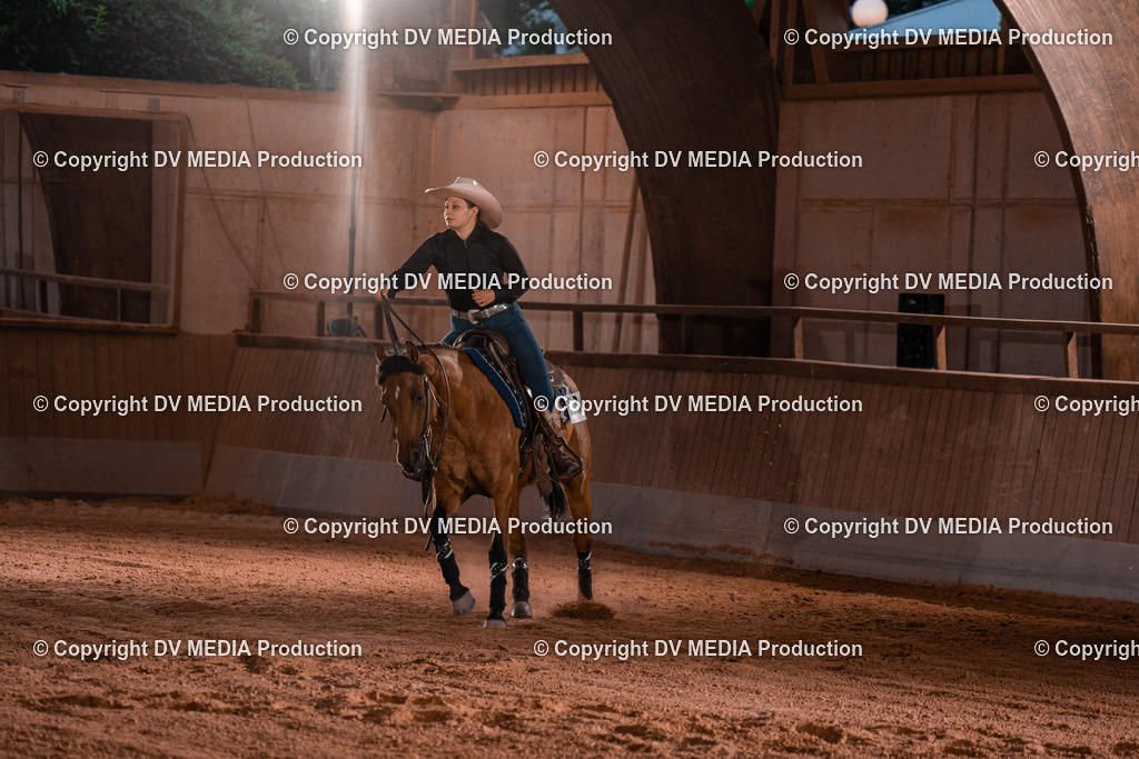 NE201438 | dv-media-shop - Realisiert mit Pictrs.com