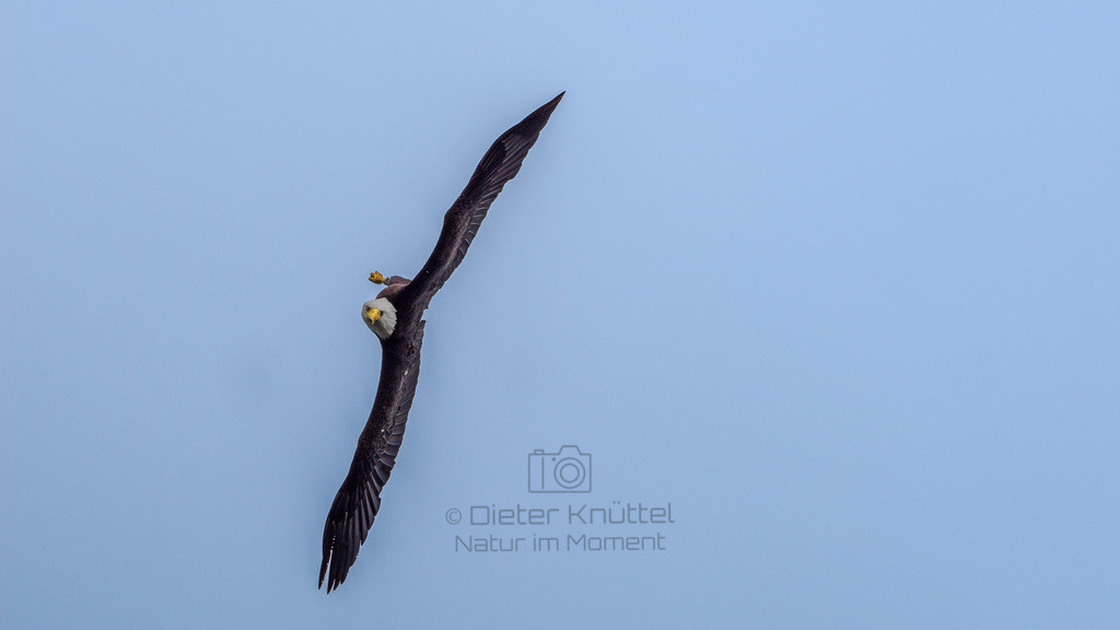 P1628577-LR | Natur im Moment - Realisiert mit Pictrs.com