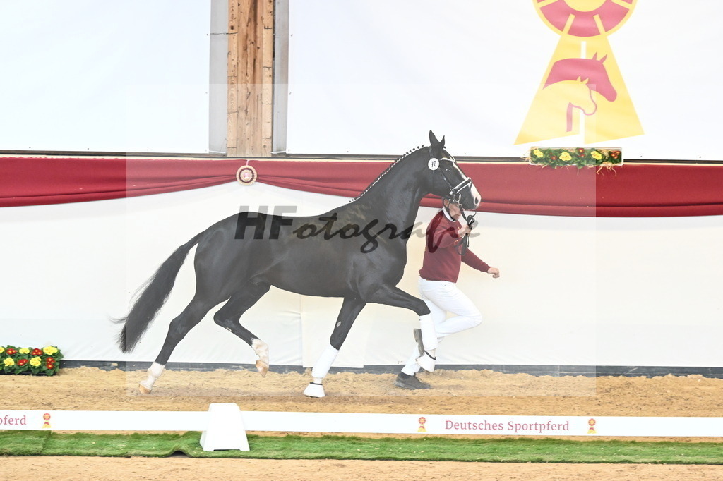 Kat.-Nr. 70 v. Totilas_Fischer_2241034 | hf-fotografie - Realisiert mit Pictrs.com