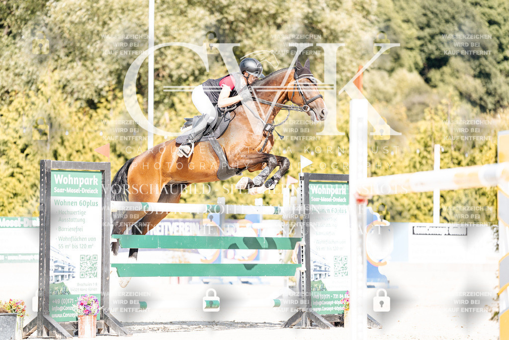 CK909129 | Turnierfotografie Pferdefotografie Trier Rheinland-Pfalz Pferdesport Reitsport Tierfotografie Sportfotografie Pferdevideo Pferdevideografie Equestrianvideography equestrianphotography  - Realisiert mit Pictrs.com