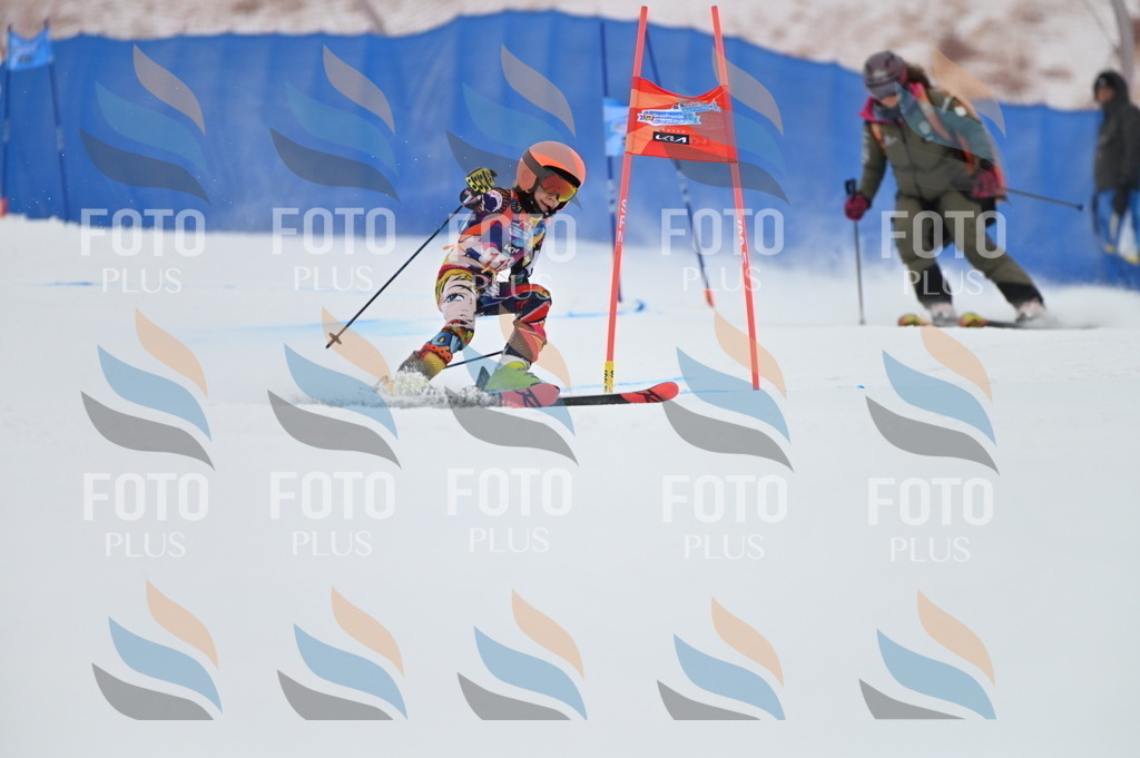 BGV_9597 | holidayphoto