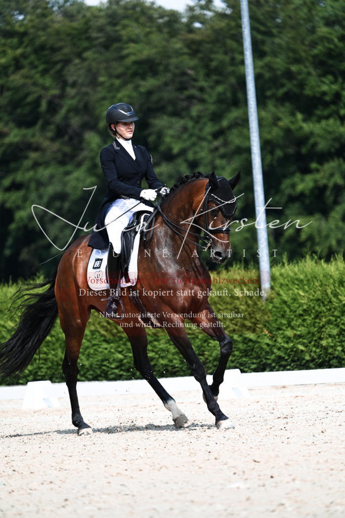 DSC_3090 | Pferde- und Turnierfotografie in Westsachsen. Pferdeportraits, Auftragszeichnungen und intuitive Kunst.