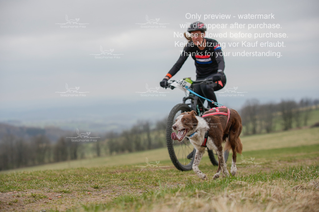 BikeSA-269 | stephaniefillaphotographie - Realisiert mit Pictrs.com