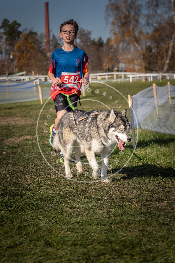 CaniXpix_0L8A7587 | Hundefotografie, Tierfotograf, Pfotenfotografie, Fotoshooting Hund, Hunde Portrait, Hundesport, Hundeportraits, Heideshooting, Hunde, Sportfotograf, Hundefotograf, Turnierhundsport, THS,  - Realisiert mit Pictrs.com