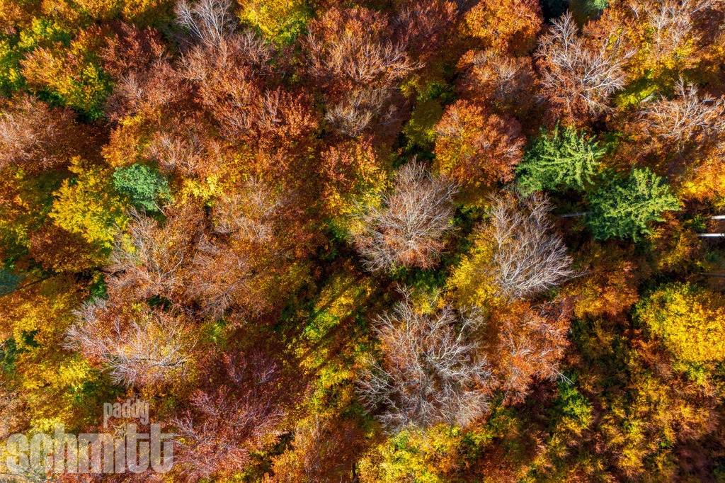 PS-Aerials-2026-13 | Entdecke die größte Bildgalerie der Region mit Fotografien aus dem Allgäu, der Bodenseeregion, Oberschwaben, dem Donautal und der Schwäbischen Alb. Landschaften, Luftaufnahmen und Reisefotografie als Wandbild und Fotokunst. - Realisiert mit Pictrs.com