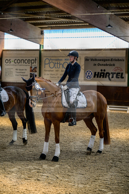 Reitturnier Voxtrup | Entdecke hochwertige Reitturnierfotos von Foto Oger. Professionell, emotional und authentisch – jetzt Lieblingsmomente im Shop bestellen. - Realisiert mit Pictrs.com