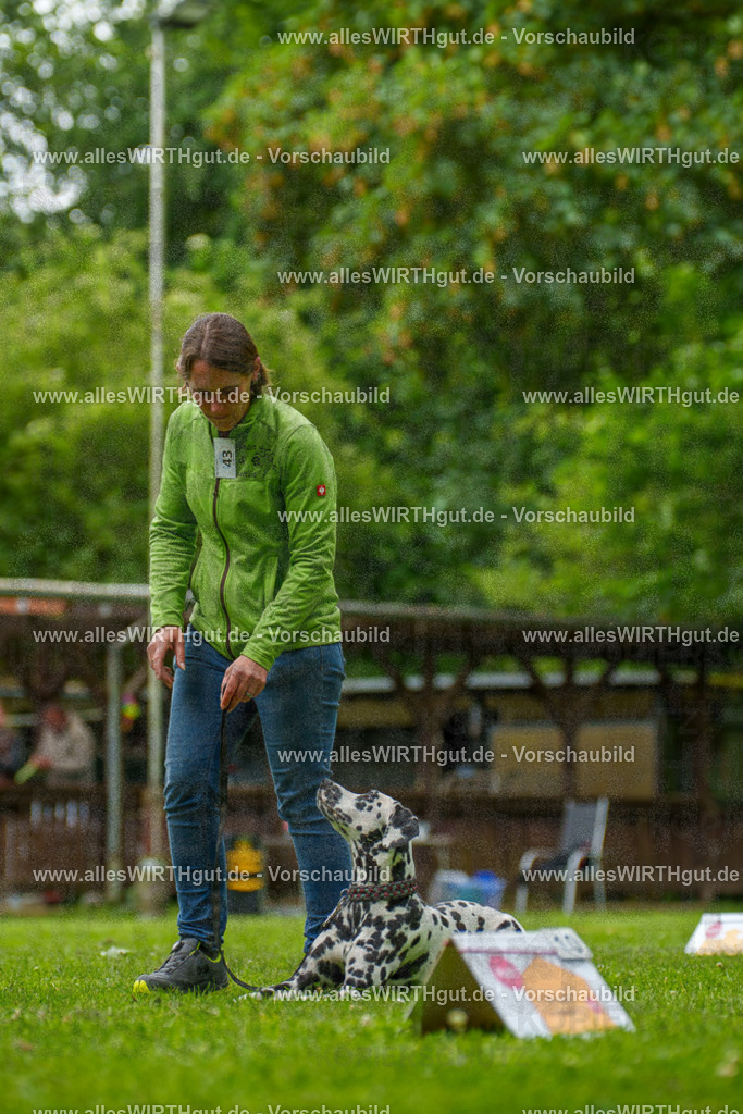@allesWIRTHgut_Tierfotografie - www.allesWIRTHgut.de - 135255-7R500133 | Professionelle Tierfotografie in Mönchengladbach von Daniel Wirth (allesWIRTHgut). Liebevolle & natürliche Bilder von Hunden & Katzen für unvergessliche Erinnerungen.