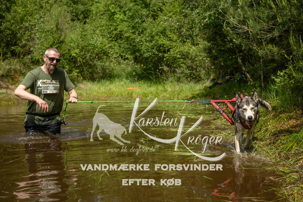 1245DKK993499 | kk-dogfotos