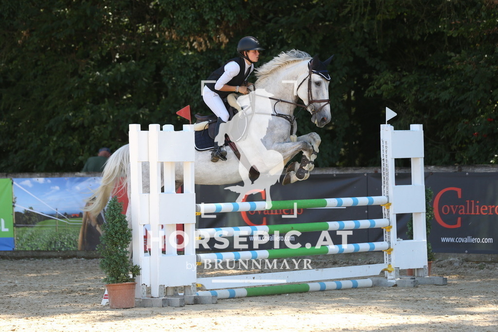 DL2Q9315 | Willkommen bei Brunnmayr - Design & Fotografie – Ihrem Spezialisten für Reitturniere und Pferdeveranstaltungen in Oberösterreich, Salzburg und Bayern! Seit über 17 Jahren sind wir leidenschaftlich dabei.