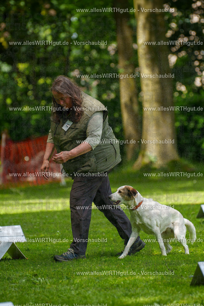 @allesWIRTHgut_Tierfotografie - www.allesWIRTHgut.de - 7R504346 | Professionelle Tierfotografie in Mönchengladbach von Daniel Wirth (allesWIRTHgut). Liebevolle & natürliche Bilder von Hunden & Katzen für unvergessliche Erinnerungen.