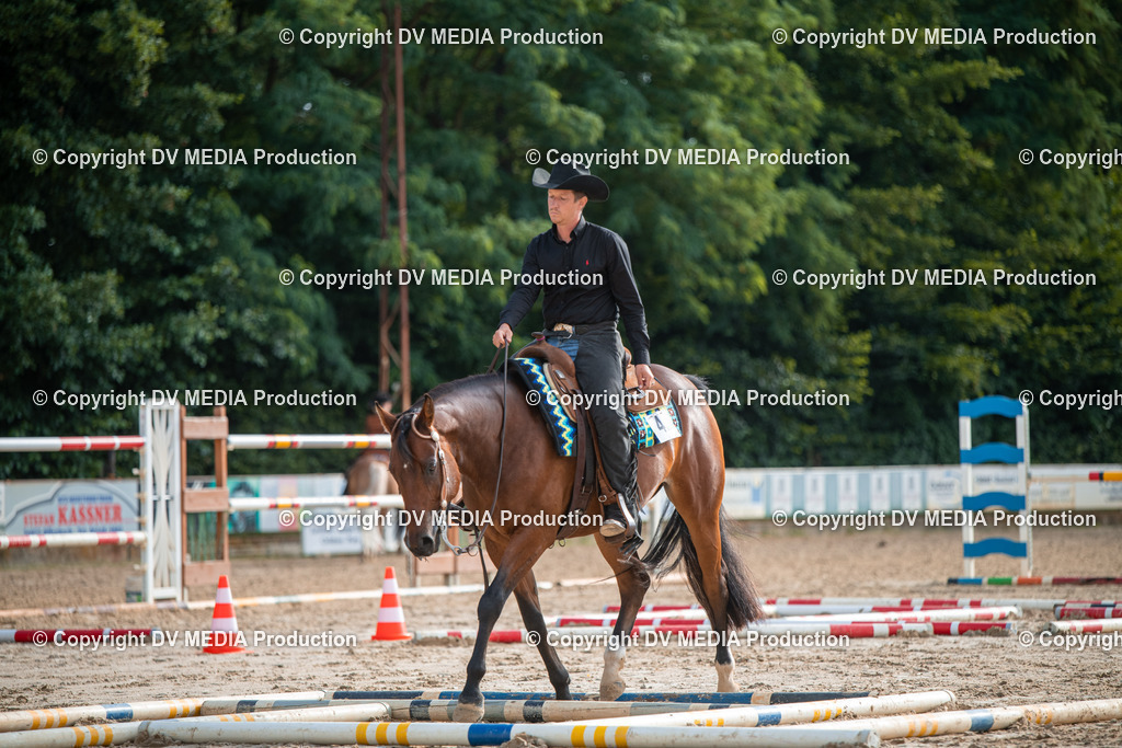 ZS3_9111 | dv-media-shop - Realisiert mit Pictrs.com