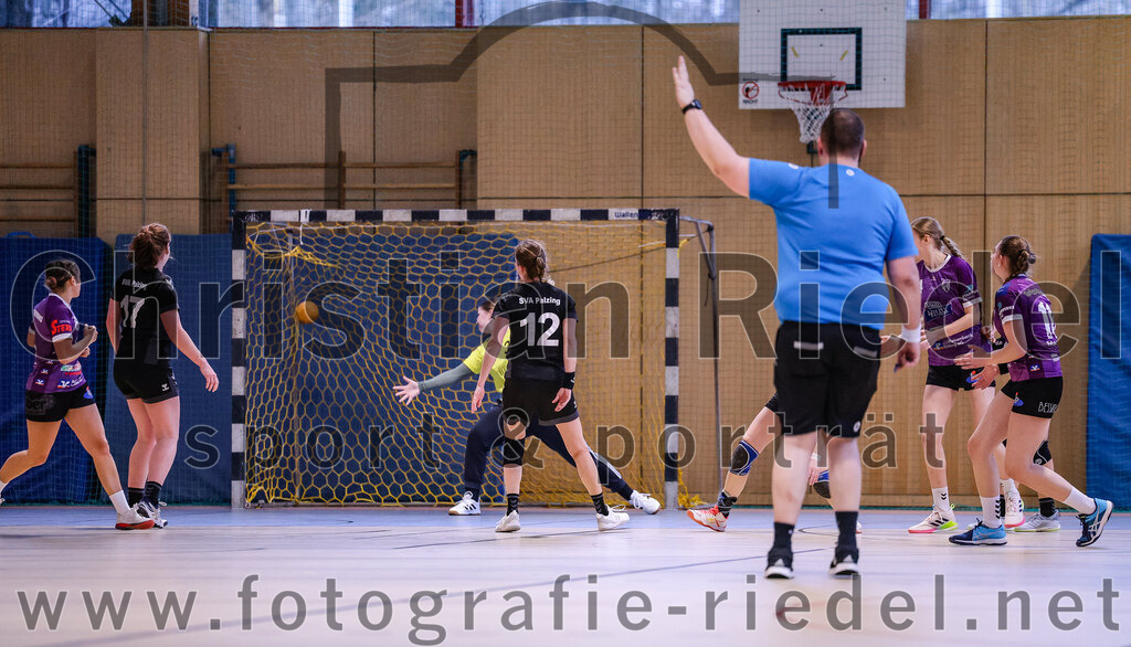 2024-12-14_097_SpVgg_Altenerding_gegen_SVA_Palzing | Erding, Deutschland, 14.12.2024:Handball, Bezirksoberliga Frauen Altbayern 2024 / 2024, 9. Spieltag, SpVgg Altenerding gegen SVA Palzing, Endergebnis: 20:30Lena Prem (SpVgg Altenerding, #8), Christina Schredl (SVA Palzing, #17), Torfrau Julia Zierer (SVA Palzing, #37), Sandra Redl (SVA Palzing, #12)Foto: Christian Riedel / fotografie-riedel.net