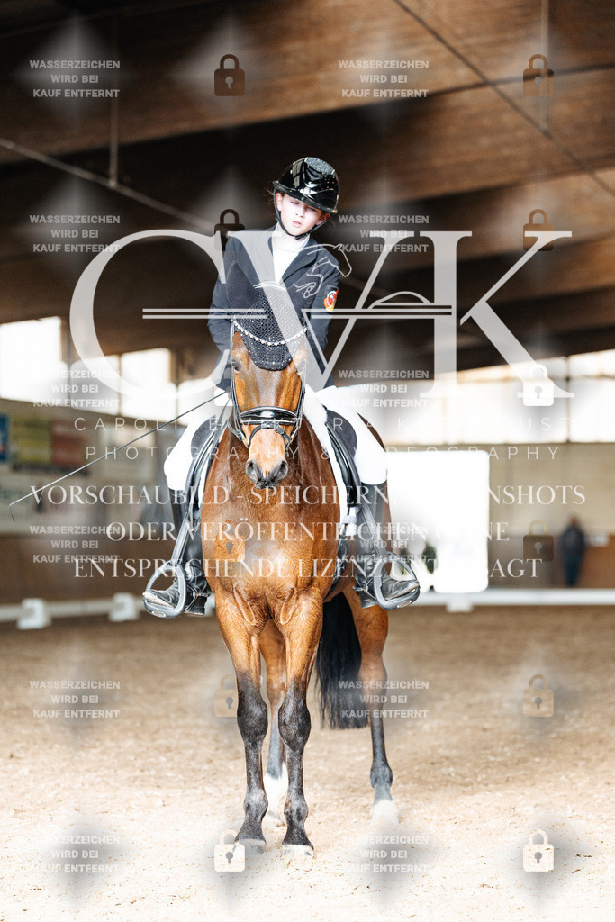 CK902032 | Turnierfotografie Pferdefotografie Trier Rheinland-Pfalz Pferdesport Reitsport Tierfotografie Sportfotografie Pferdevideo Pferdevideografie Equestrianvideography equestrianphotography  - Realisiert mit Pictrs.com