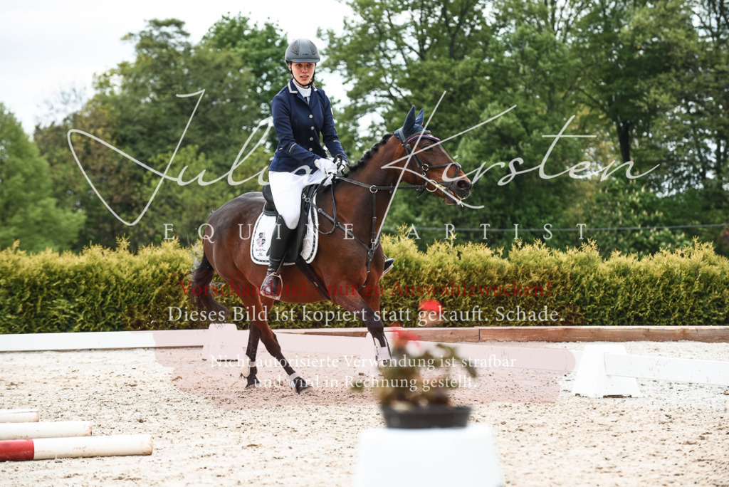 20230518_JK-Röhrsdorf-10-588 | Pferde- und Turnierfotografie in Westsachsen. Pferdeportraits, Auftragszeichnungen und intuitive Kunst.