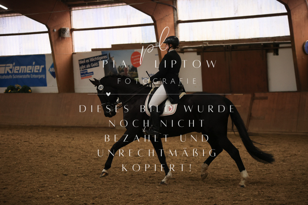 IMGT5813 | pl-fotografie