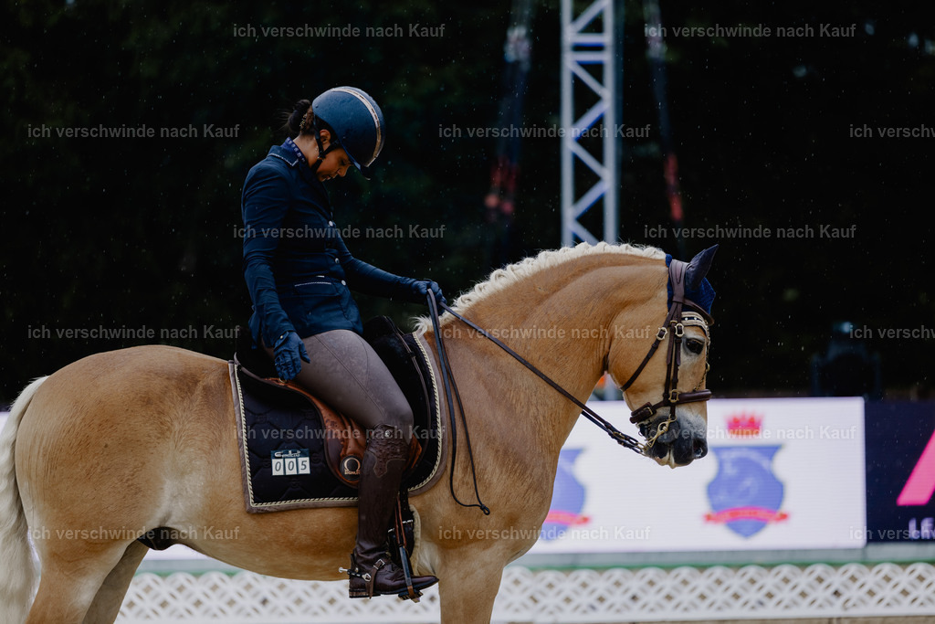 Tanesha5FHC2025-24888 | working equitationturnier fotograf videograf stoibphotography marixx film working equitation deutschland reitsport turnierfotografie eventfotografie equestrian events