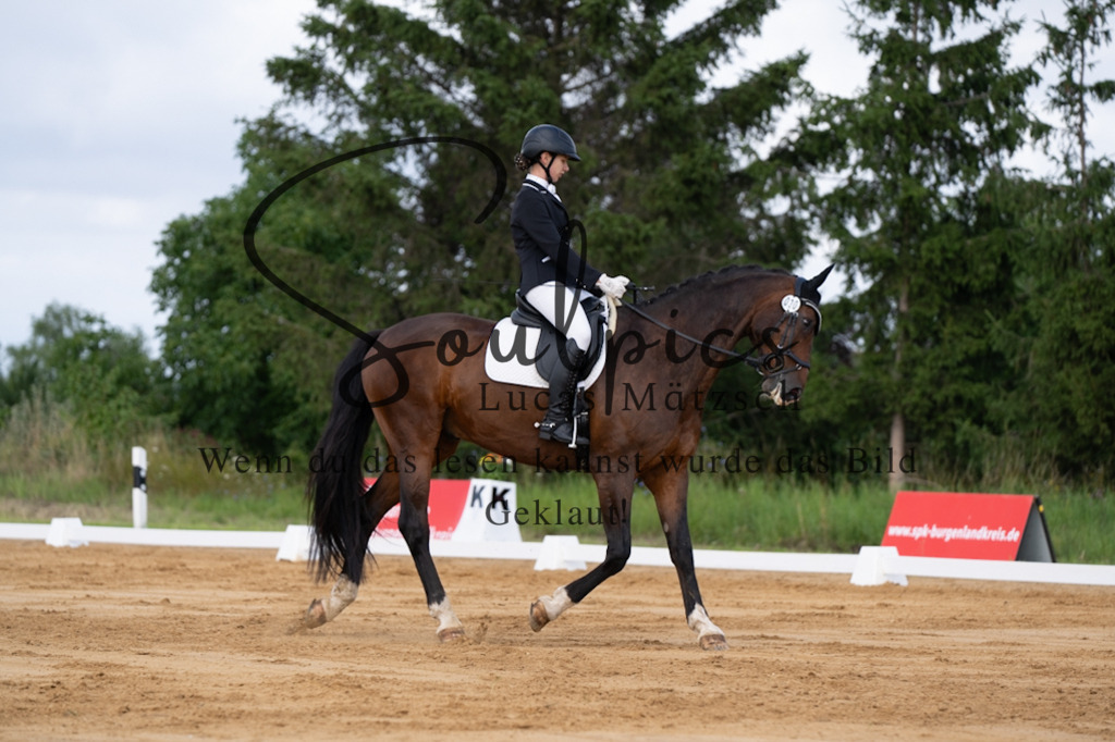 A7V05176 | Pferdefotograf