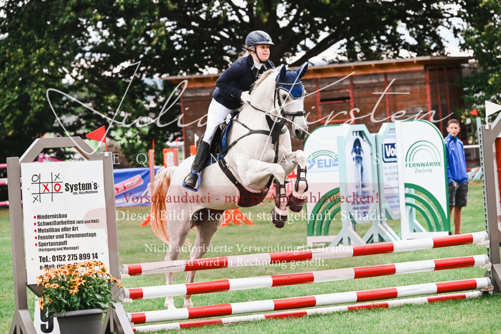 DSC_6029 | Pferde- und Turnierfotografie in Westsachsen. Pferdeportraits, Auftragszeichnungen und intuitive Kunst.