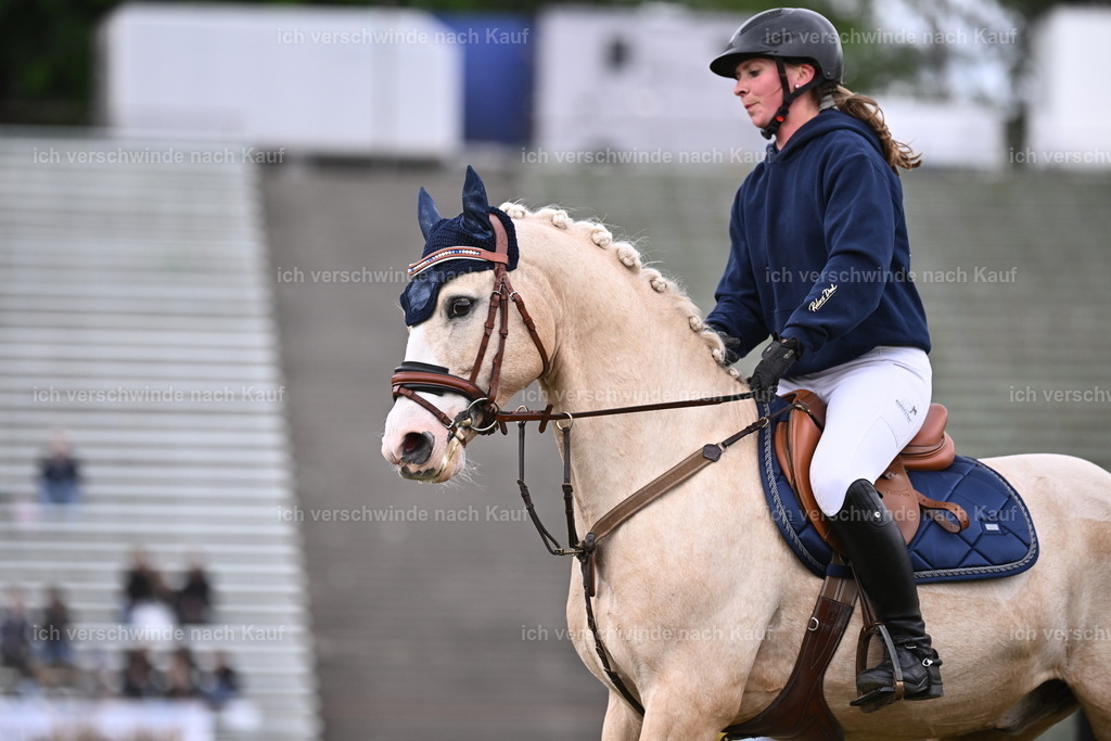 PI26_Show_Sara_Landvogt_226_1895.JPG | working equitationturnier fotograf videograf stoibphotography marixx film working equitation deutschland reitsport turnierfotografie eventfotografie equestrian events