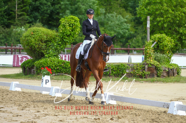 DKP45765 | Turniersportfotografie; Pferdefotografie; Dressurfotografie