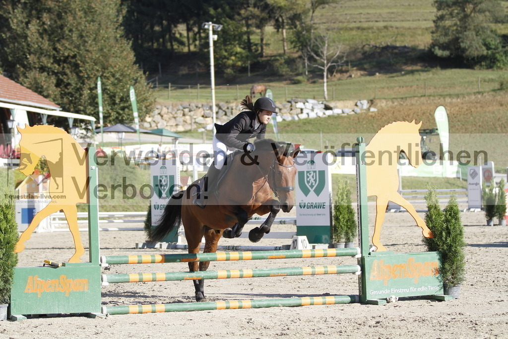 _MG_1272 | equestrian-live-com